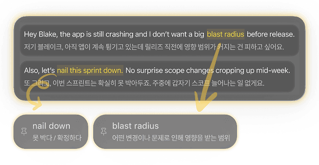 상대방의 말 즉시 번역 + 단어 설명